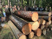Lesy ČR vyhlásily první ročník studentské soutěže ŘEŠ LES