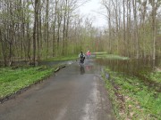 Lužní lesy mezi Břeclaví a Valticemi čerpají z jarní záplavy celý rok