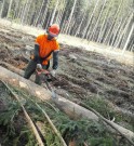 „České lesnictví potřebuje kvalifikované dělníky. Učňovská stipendia jsme proto od nového školního roku zdvojnásobili“