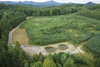 Státní podniky Lesy ČR a DIAMO se dohodly na převodu pozemků