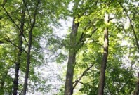 Letošní setkání lesníků se zástupci samospráv i s veřejností začala na severu Čech