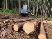 Lesy ČR odeslaly prvních čtyři sta tisíc korun lidem postiženým tornádem Kamiony naplněné dřevem na nové krovy dorazí na pily tento pátek
