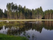 Další vodohospodářské stavby na Vysočině: Lesy ČR obnovily dvě retenční nádrže a pokračují v protipovodňových opatřeních