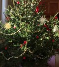 Vánoční stromky z L(l)esů potěší zdravotníky i covidové pacienty