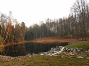 Lesy ČR obnovily další vodní nádrž, tentokrát v lesích u Vlašimi