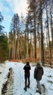 Lesy ČR nechtějí ohrozit návštěvníky, požádaly Správu NP Šumava o řešení