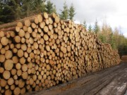 Lesy ČR uzavírají od února přímé kontrakty na dodávky dříví s menšími a středně velkými pilami