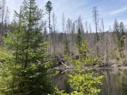 Lesy ČR chtějí zpřístupnit cestu k Boubínskému jezírku