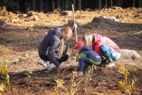 Dny za obnovu lesa: Udělat něco pro les i pro sebe