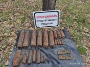 Pyrotechnici zahájí v Bořím lese devátou etapu průzkumu