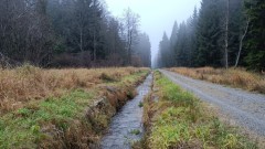 Čtyři úseky Schwarzenberského plavebního kanálu obnovily Lesy České republiky