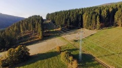 Lesy ČR a ČEZ chtějí společně předejít výpadkům elektřiny, dohodly se na spolupráci