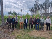 Rakouští státní lesníci se dnes inspirovali postupy Lesů ČR při obnově porostů na Vysočině