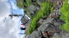 Viklan v Borovských skalách