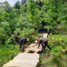 Lesy ČR budují pro turisty novou cestu do Boubínského pralesa