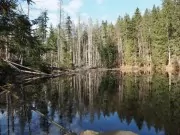 K Boubínskému jezírku se v létě bezpečně dostanete po náhradní trase